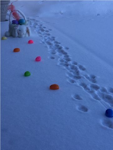 Easter Bunny tracker trail