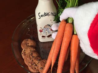 photo of treats for Santa