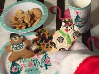 photo of treats for Santa