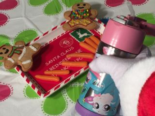 photo of treats for Santa