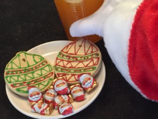 photo of treats for Santa