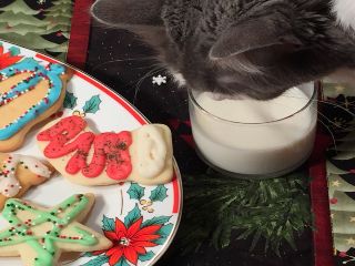 photo of treats for Santa